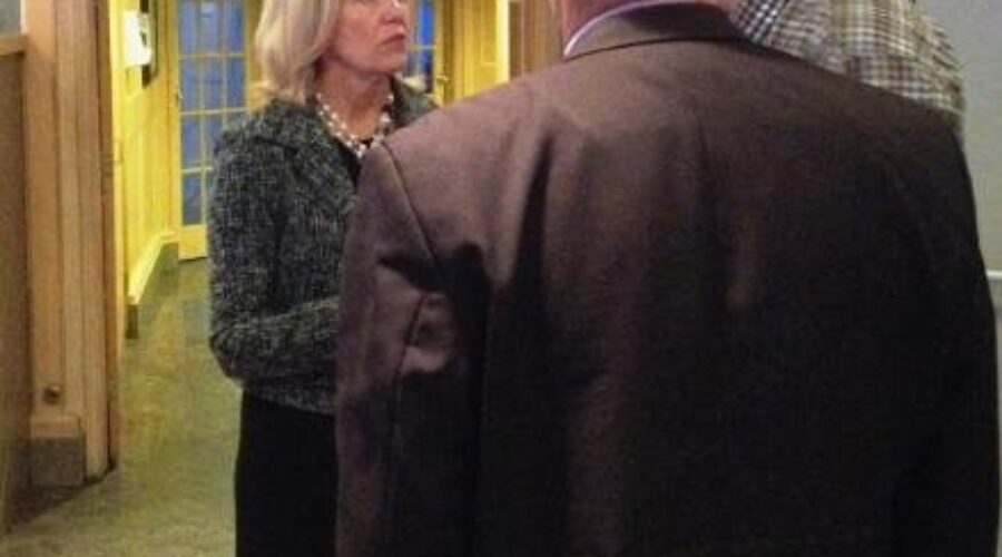 Christine Elliott Pledging More Support For North