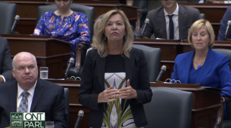 christine20elliott20ledge_0 Province Says No Shortage In Flu Vaccine