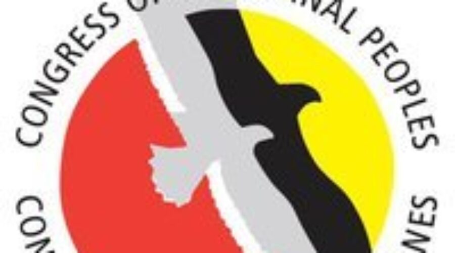 Congress Of Aboriginal Peoples Speaks Out Against Budget