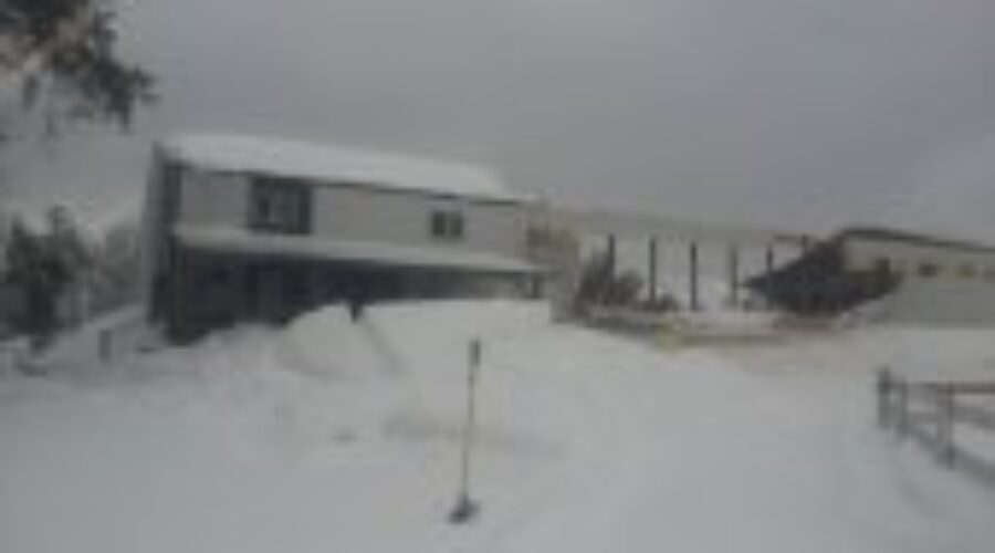 collapse Local Riding Arena Collapses