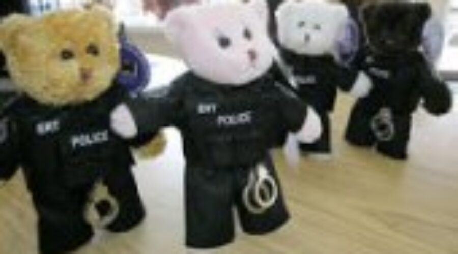 Community Bear Program Scam