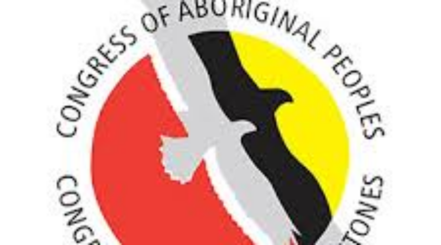 congressabor Congress Of Aboriginal People Holding Elections