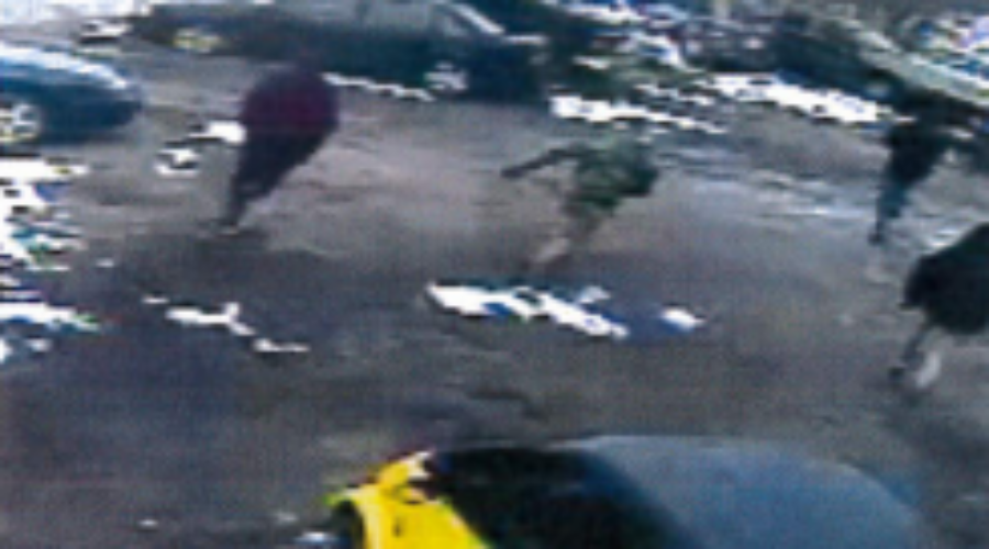 Dryden Police Investigating Extreme Vandalism Case