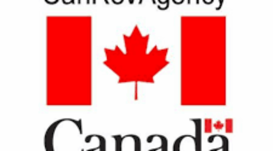CRA Out With Tips To Avoid Fraud