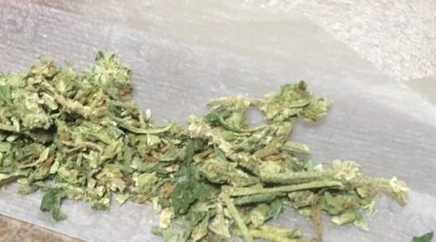 Trudeau Government Unveils Legislation To Legalize Pot