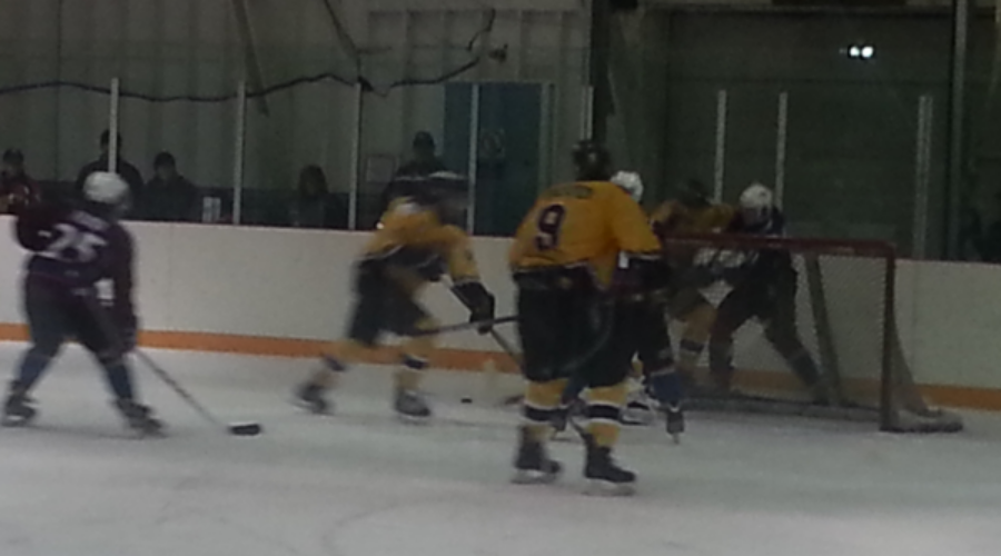 Masterful Performance For Ice Dogs