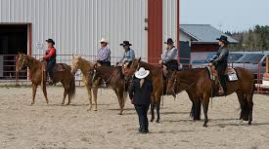 dhorseshoe Quarter-Horse Club Celebrating 20-Years