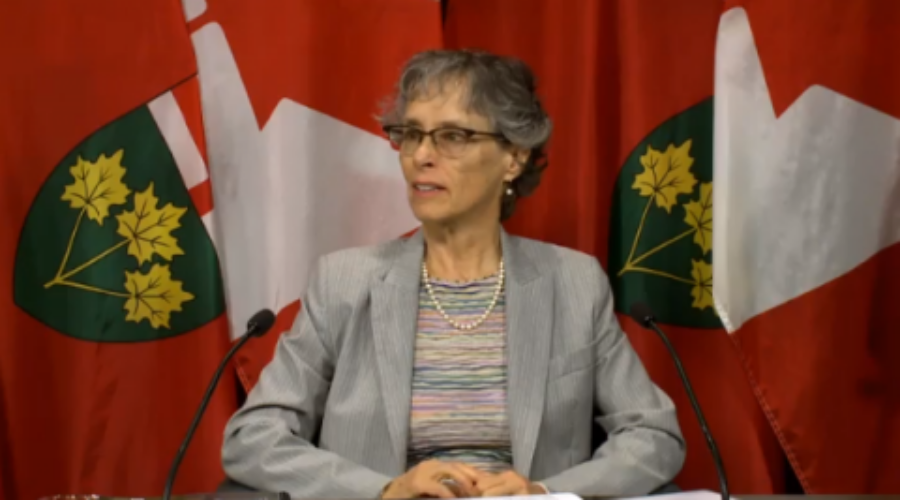 Environment Commissioner Out With Critical Report