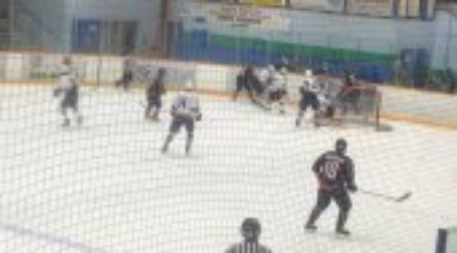 dogslakers Lakers Collar Ice Dogs