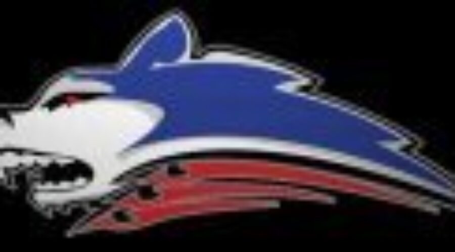North Stars Overcome Early Deficit To Defeat Dryden