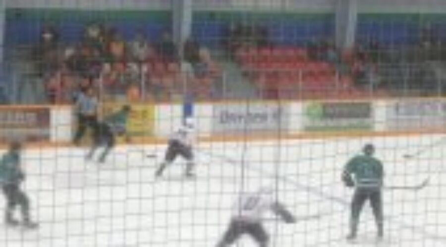 Ice Dogs Out Gun Wilderness