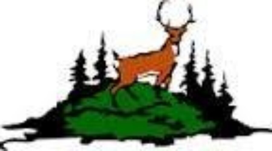 Deer Lake And Ontario Government Team Up