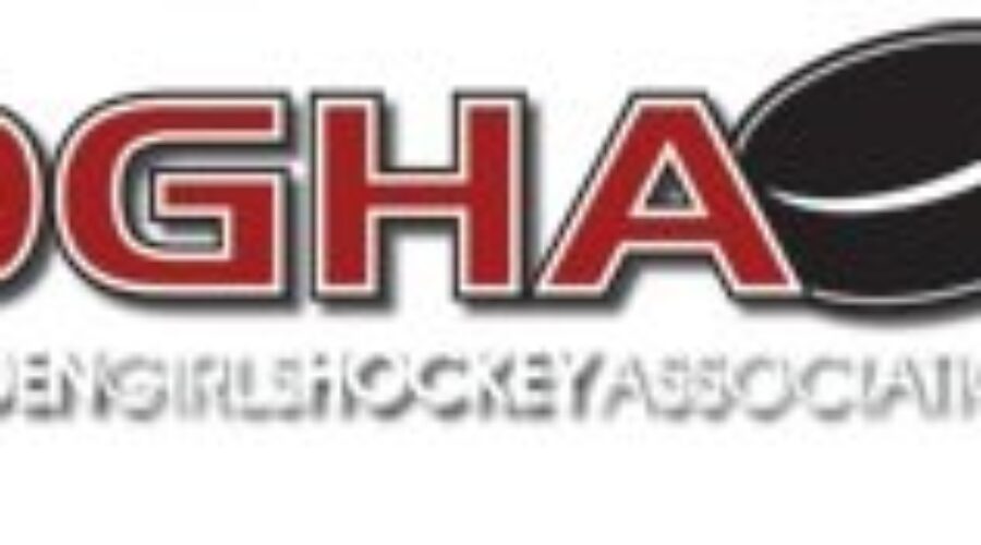 Dryden Plays Host To 15th Annual Kathy Sanders Hockey Tournament