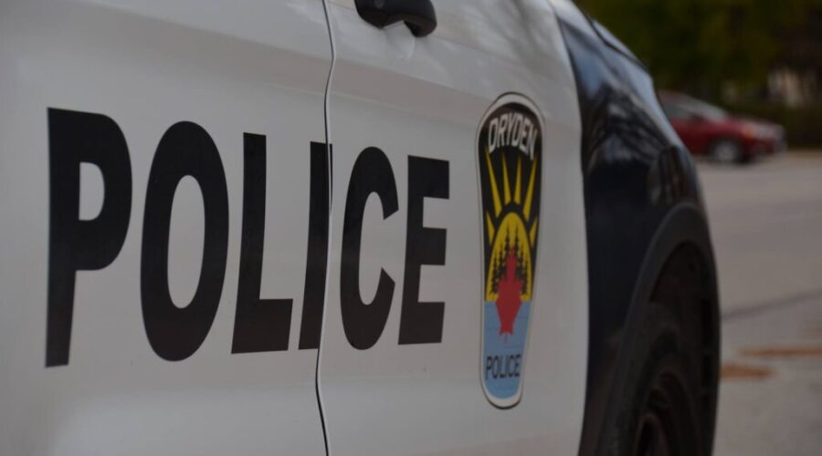 Two Cars Damaged In Dryden