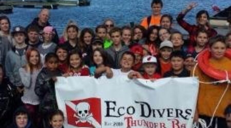 Call For The Expansion Of Eco Dive