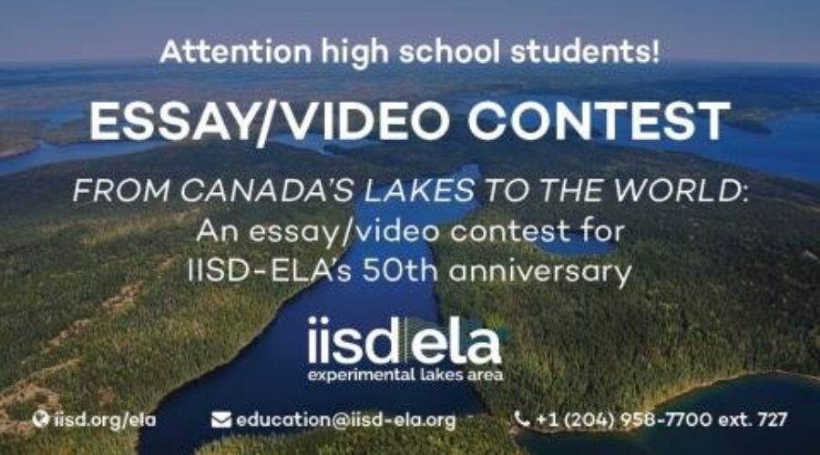 ELA Reaching Out To Local Youth To Guide Future Research