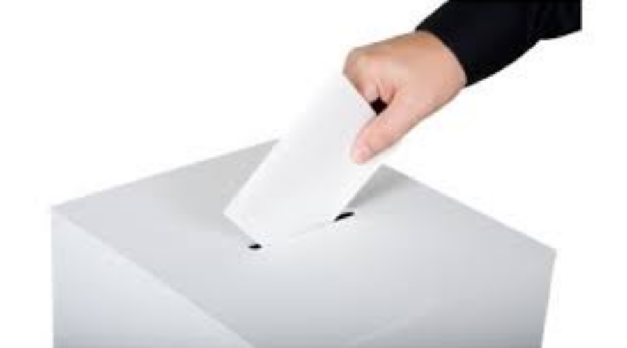 Sunset Country Metis Elections