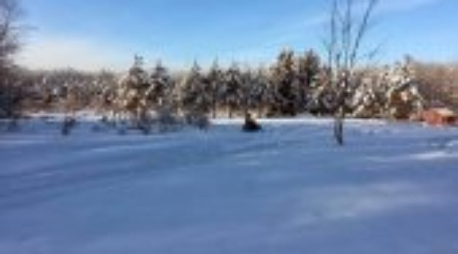 Escape To Ontario Campaign Being Launched