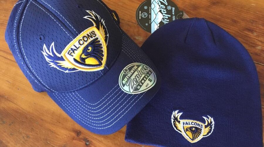 Dryden Falcons Spring Camp Opens Today