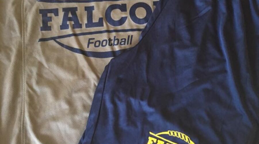 Dryden Falcons Set To Showcase Skills At Home Today