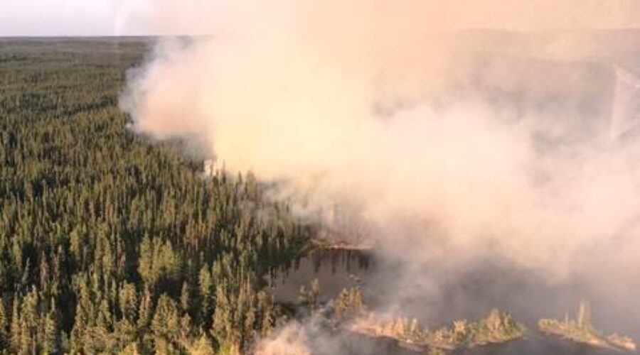 f3_0 MNRF Starting To Gain Upper Hand On Fires