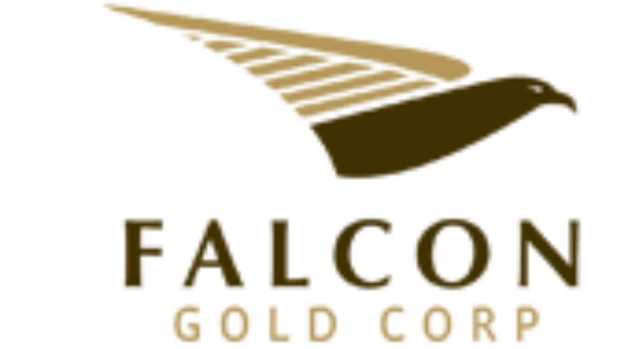 falcon20gold New Company Enters Search For Minerals