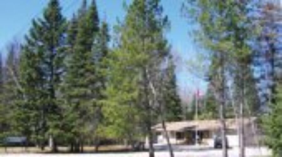 Falcon Lake Man Charged With Fraud