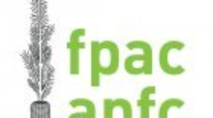The Future Of The Forestry Sector