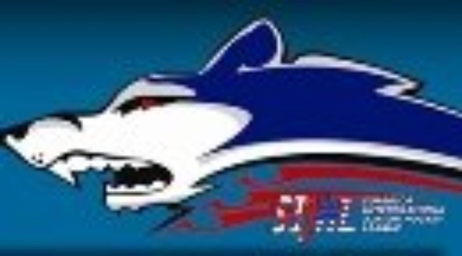 fbkicedogs_logo Ice Dogs in Action