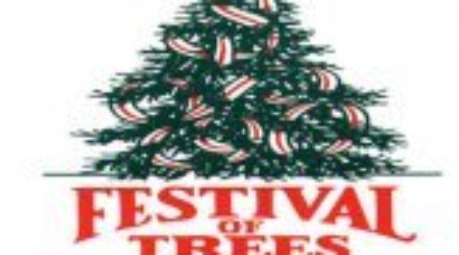 Festival Of Trees Begins Today