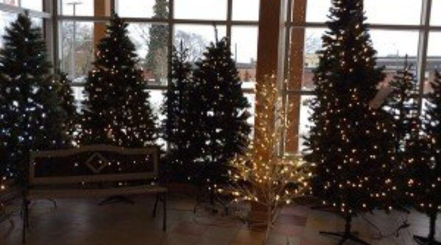 Festival Of Trees Opens Saturday In Dryden