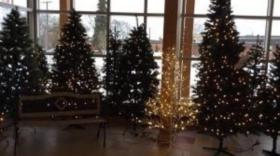 Festival Of Trees In Full Swing