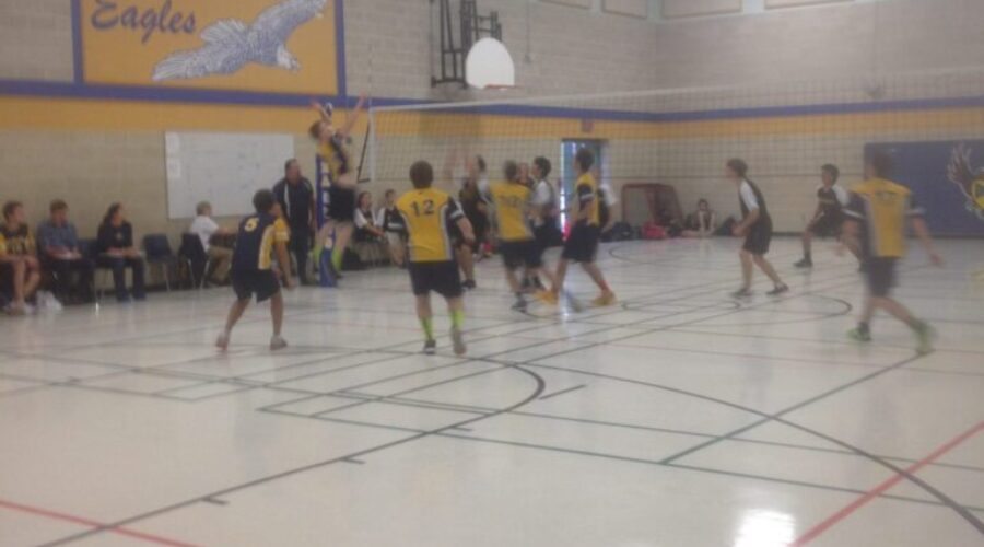 Eagles And Broncos Collide In Dryden