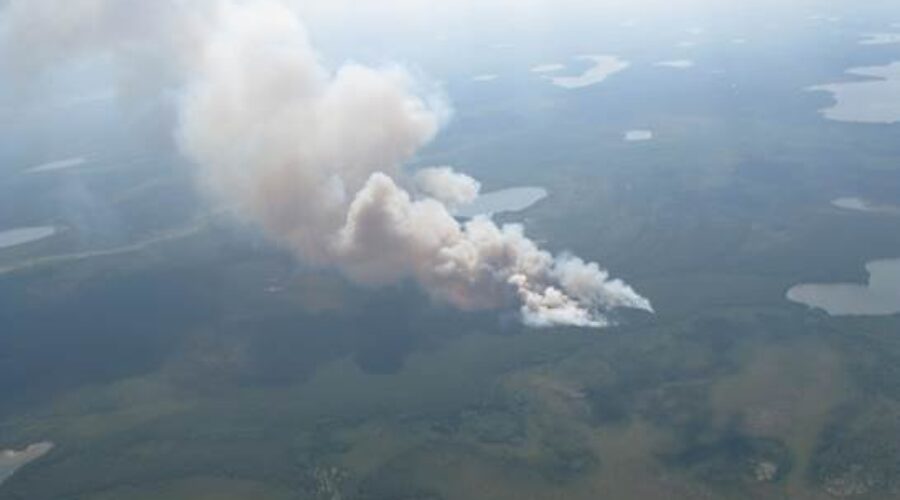 Forest Fire Season Recap