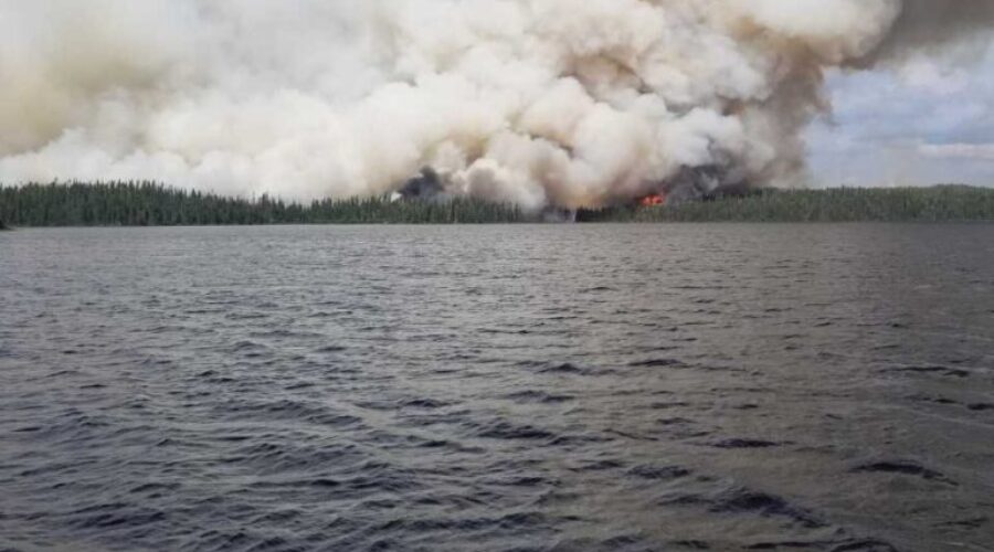 23 New Forest Fires Reported Sunday