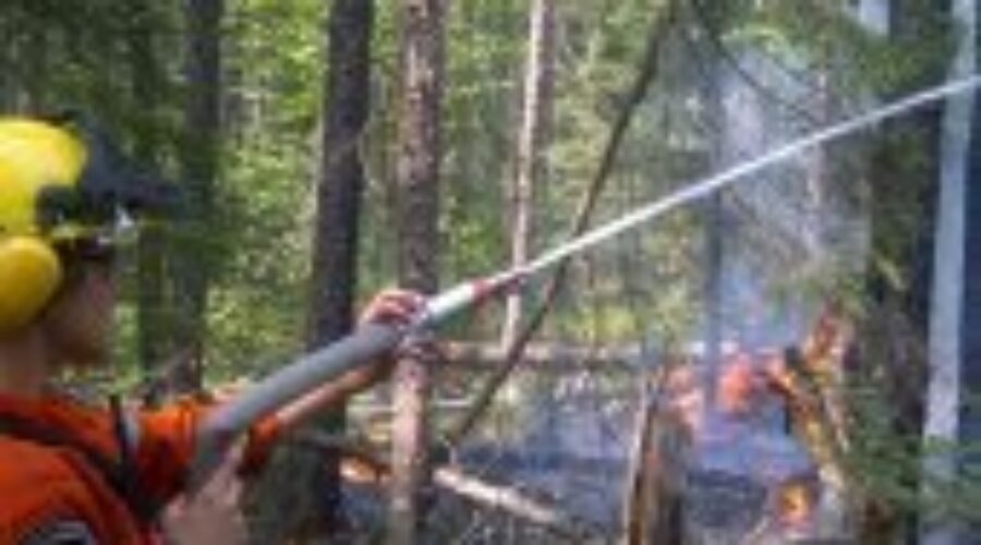 Forest Fire Concerns In The Far North