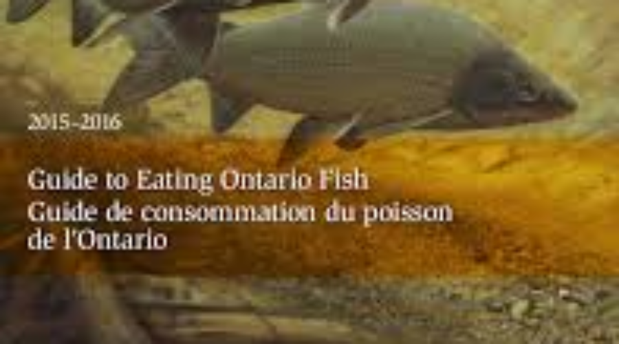 Province Releases Eating Ontario Fish Guide