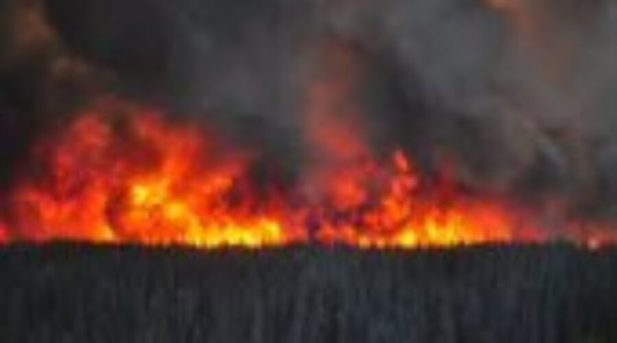 forest-fires MNR Sends More Support To Battle Forest Fires