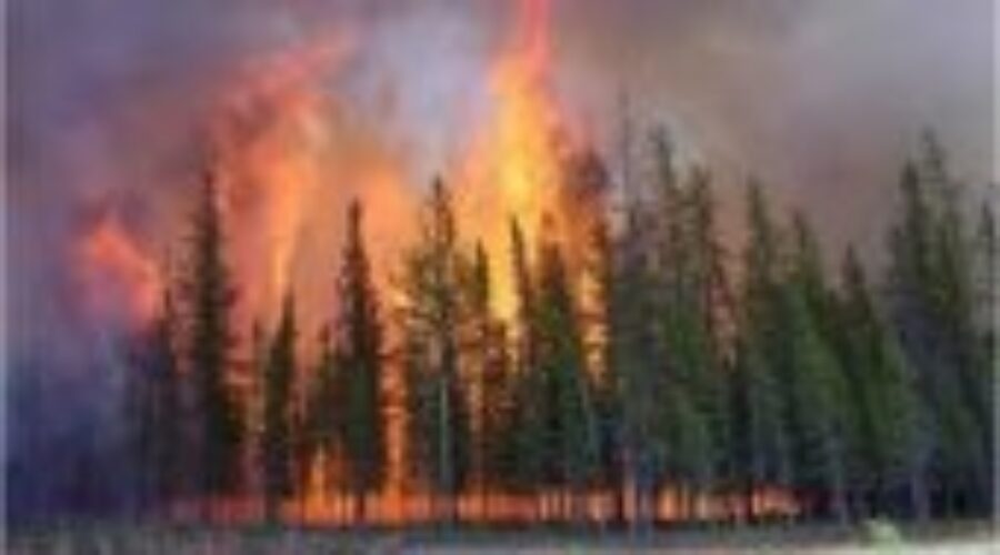 Fire Crews In Alberta Are Starting To Return Home