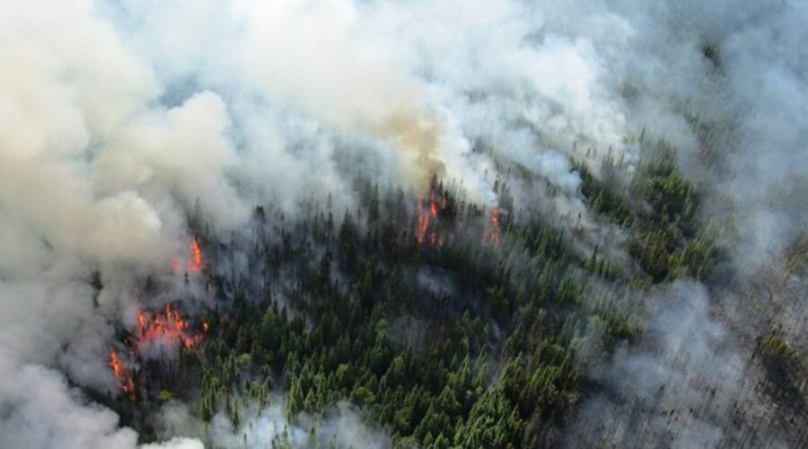 forestfires_0 Residents Of Nibinamik Allowed To Return Home
