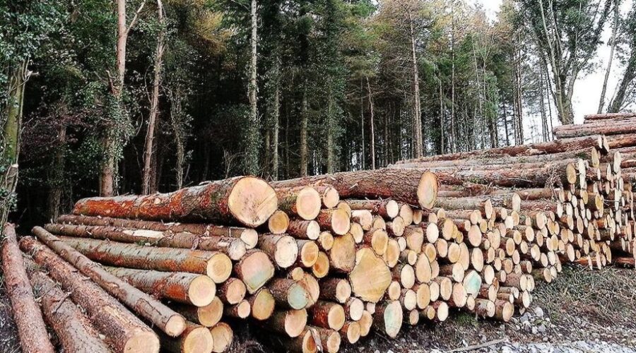 Forestry Alliance Formed In Northern Ontario