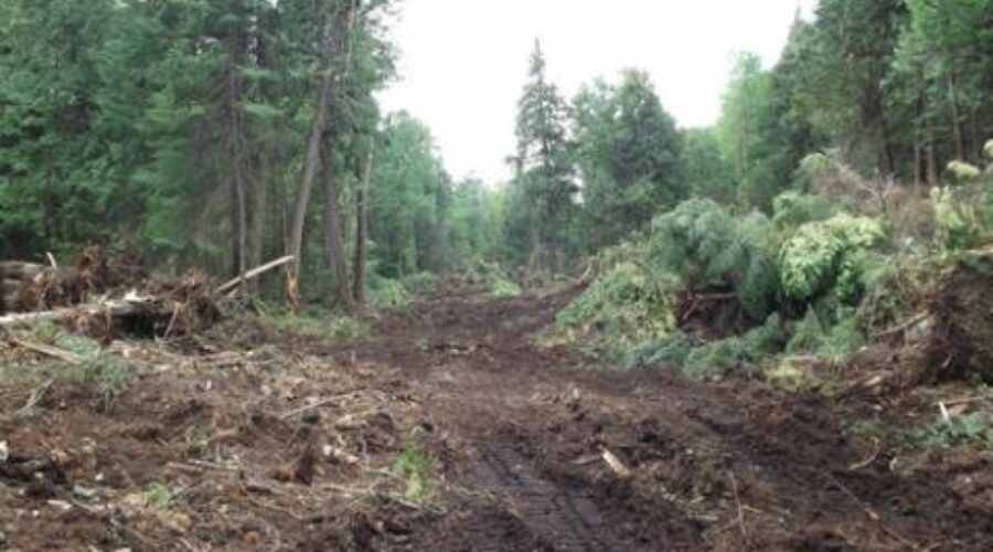 Freedom Road Construction Underway