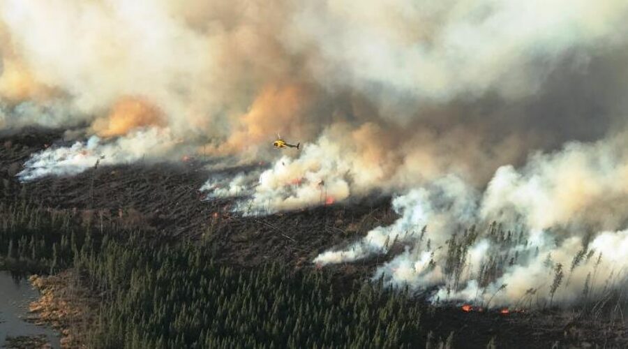 October Brings Forest Fires