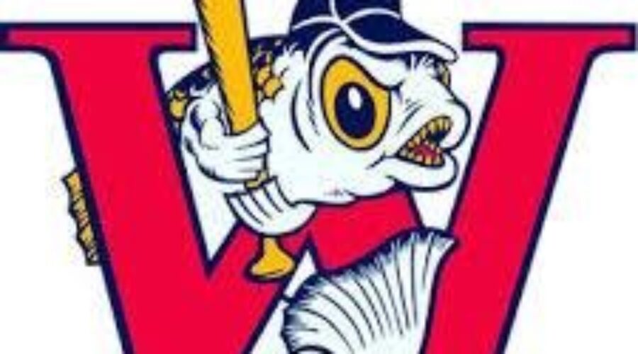 Winnipeg Goldeyes Making An Appearance In Northwestern Ontario