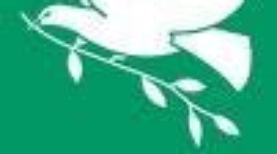 Greenpeace Speaking Out Against Resolute