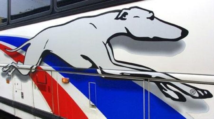 Greyhound Evacuated Near Kenora