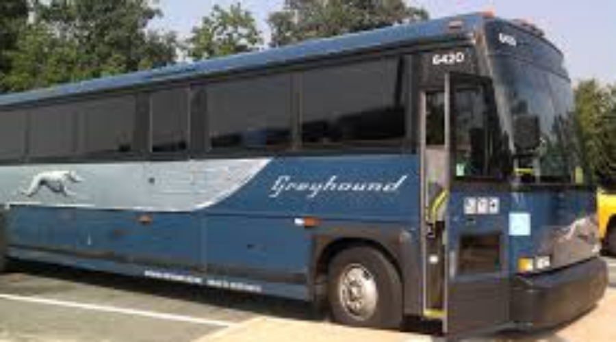 NOMA Looking At Bus Options