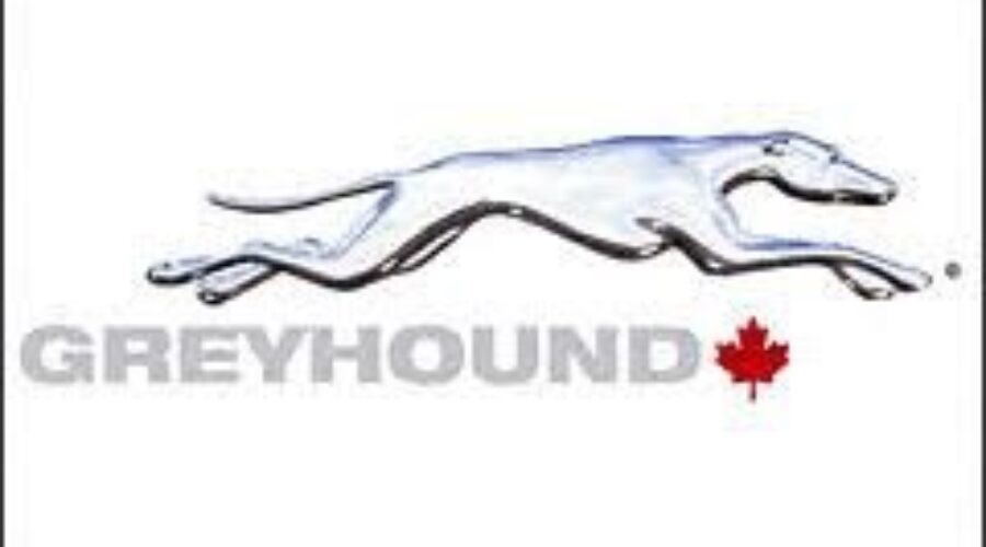 greyhound_8 Call Made To Extend Greyhound Service Deadline