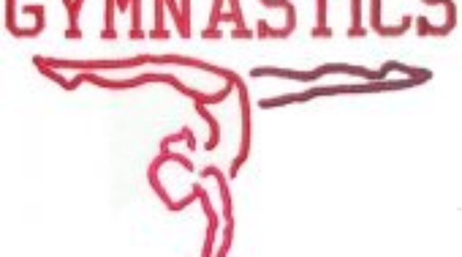 Gymnasts Hit The Mat In Red Lake