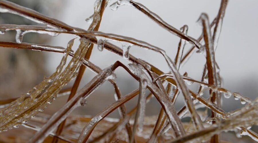 Photo by Laura Ockel Freezing rain forecast for Kenora and Dryden